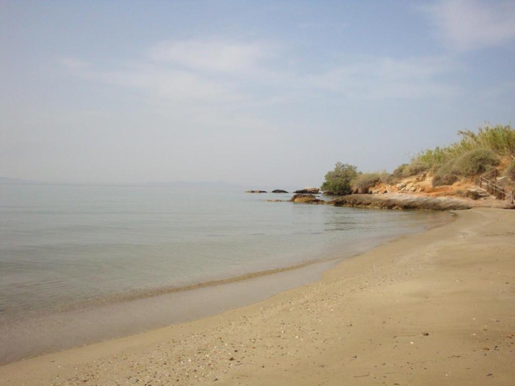 Blue & Sea Studios Apartments Дриос Экстерьер фото